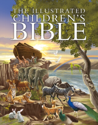 The Illustrated Children's Bible - Janice Emmerson-Hicks