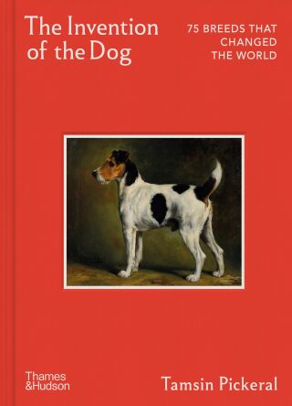 The Invention of the Dog - Tamsin Pickeral