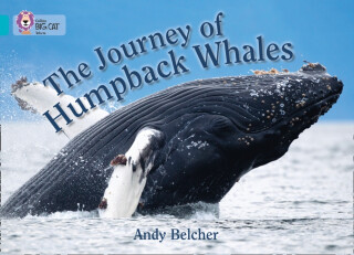 The Journey of Humpback Whales - Andy Belcher