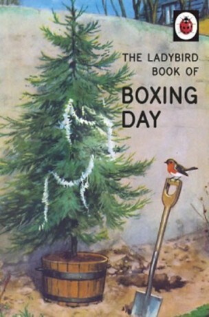 The Ladybird Book of Boxing Day - Jason Hazeley,Joel Morris