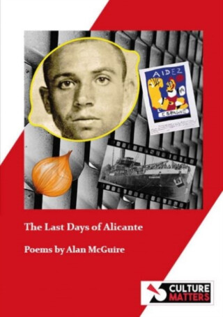 The Last Days of Alicante - Alan McGuire