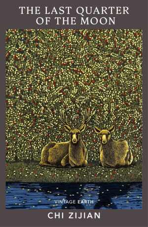 The Last Quarter of the Moon - Zijian Chi
