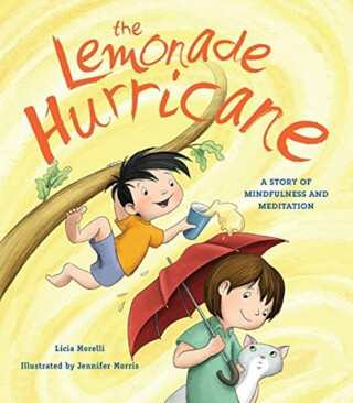 The Lemonade Hurricane - Licia Morelli
