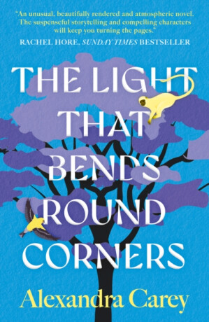 The Light That Bends Round Corners - Alexandra Carey