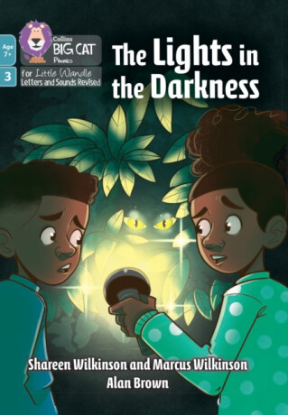 The Lights in the Darkness - Shareen Wilkinson,Marcus Wilkinson
