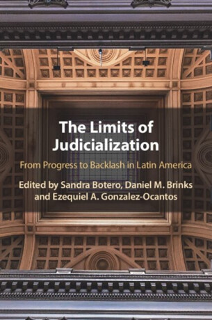The Limits of Judicialization - 