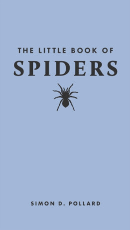 The Little Book of Spiders - Simon  Pollard
