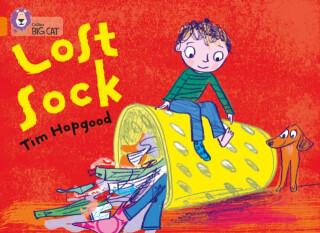 The Lost Sock - Hopgood Tim