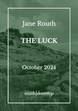 The Luck - Jane Routh
