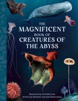 The Magnificent Book Creatures of the Abyss - Bethanie Hestermann,Josh Hestermann