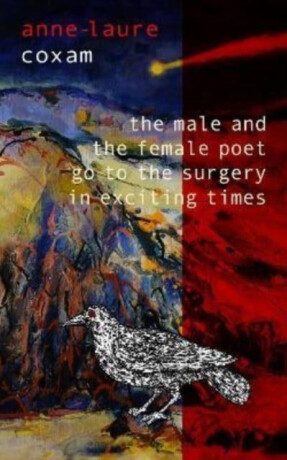 The Male and the Female Poet Go to the Surgery in Exciting Times - Anne-Laure Coxam