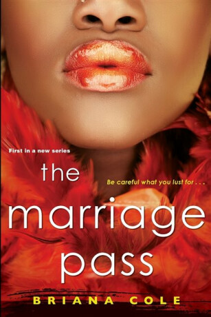 The Marriage Pass - Briana Cole