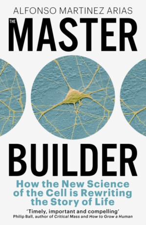 The Master Builder - Alfonso Martinez Arias
