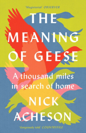 The Meaning of Geese - Nick Acheson