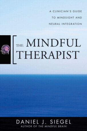 The Mindful Therapist - Daniel J. Siegel