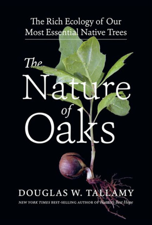 The Nature of Oaks - Douglas W. Tallamy