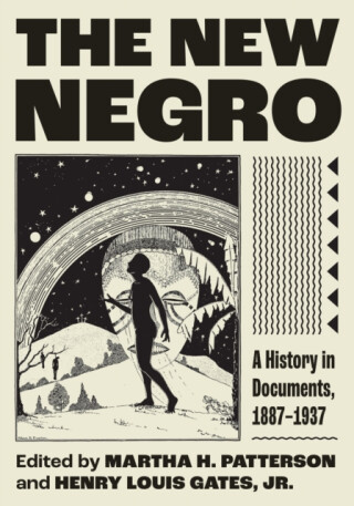 The New Negro - Martha H. Patterson,Henry Louis Gates