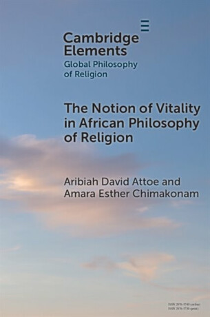 The Notion of Vitality in African Philosophy of Religion - Amara Esther  Chimakonam,Aribiah David  Attoe
