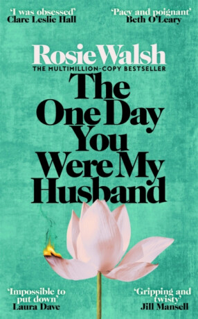 The One Day You Were My Husband - Rosie Walsh