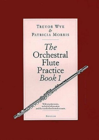 The Orchestral Flute Practice Book 1 - Trevor Wye,Patricia Morris