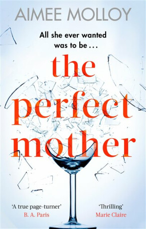 The Perfect Mother - Aimee Molloyová