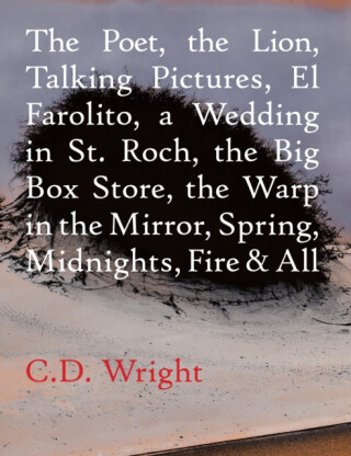 The Poet, The Lion, Talking Pictures, El Farolito, A Wedding in St. Roch, The Big Box Store, The Warp in the Mirror, Spring, Midnights, Fire & All - C.D. Wright