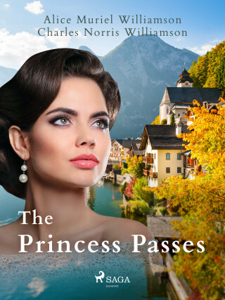 The Princess Passes - Charles Norris Williamson,Alice Muriel Williamson