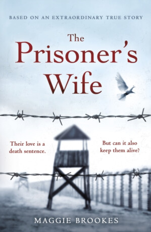The Prisoner's Wife - Maggie Brookes