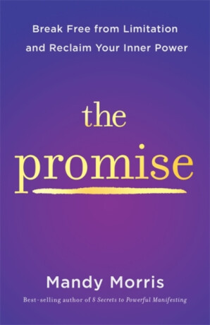The Promise - Mandy Morris