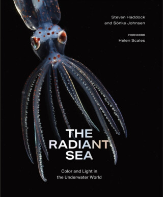 The Radiant Sea - Sonke Johnsen,Steven Haddock