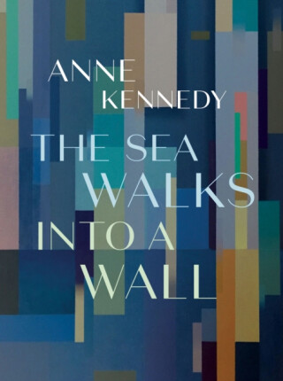 The Sea Walks into a Wall - Anne Kennedy