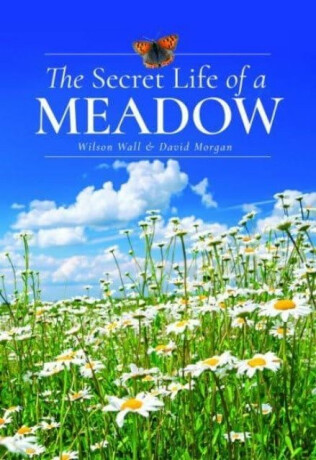 The Secret Life of a Meadow - David Morgan,Wilson Wall
