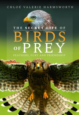 The Secret Life of Birds of Prey - Chloe Valerie Harmsworth