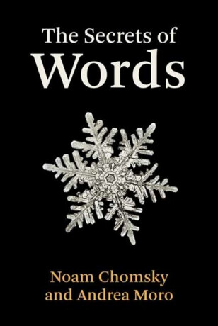 The Secrets of Words - Noam Chomsky,Andrea Moro