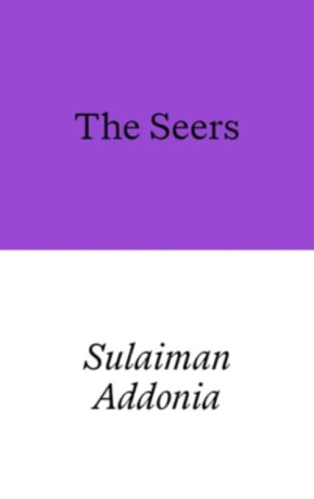The Seers - Sulaiman Addonia
