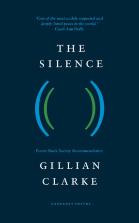 The Silence - Gillian Clarke