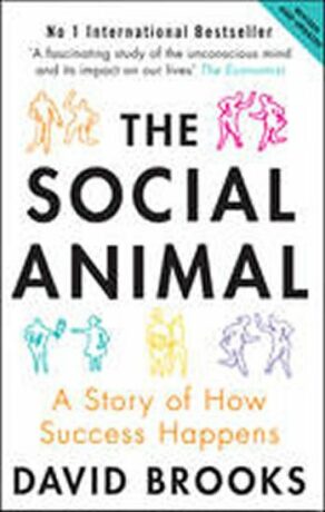 The Social Animal : A Story of How Success Happens - David Brooks