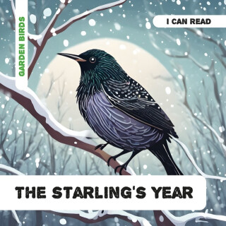 The Starling's Year - Caroline Petherbridge