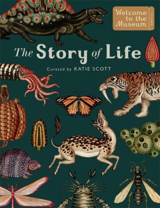 The Story of Life: Evolution (Extended Edition) (Welcome To The Museum) - Katie Scott