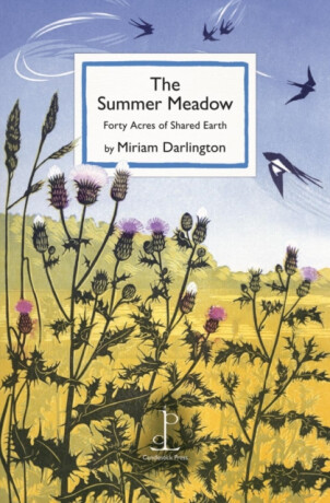 The Summer Meadow - Miriam Darlington