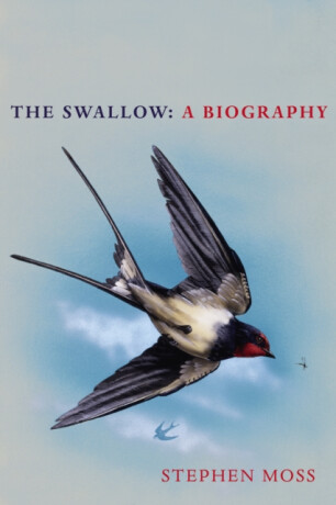 The Swallow - Moss Stephen