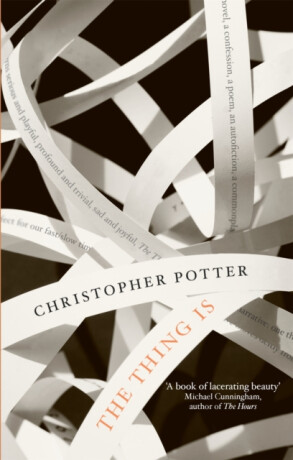The Thing Is - Christopher Potter