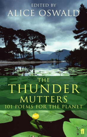 The Thunder Mutters - 