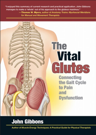The Vital Glutes - John Gibbons