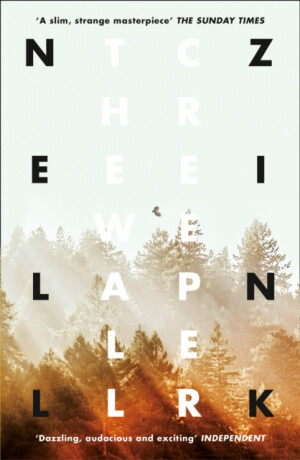The Wallcreeper - Nell Zink