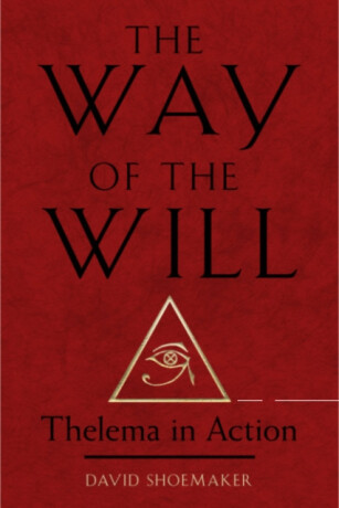 The Way of the Will - David Shoemaker