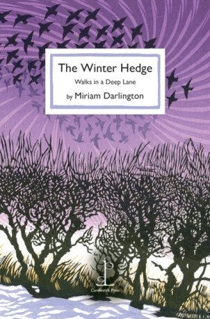 The Winter Hedge - Miriam Darlington