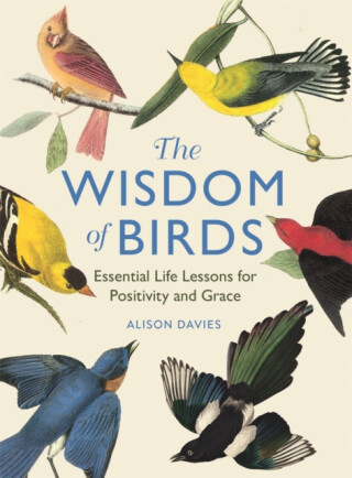 The Wisdom of Birds - Alison Daviesová
