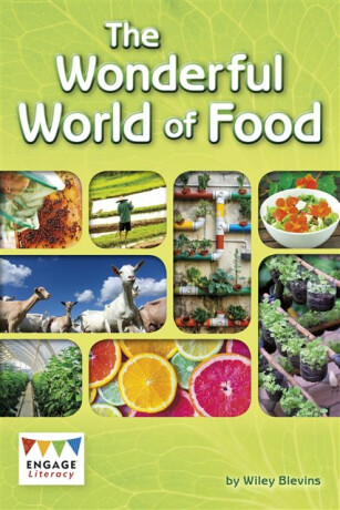 The Wonderful World of Food - Wiley Blevins