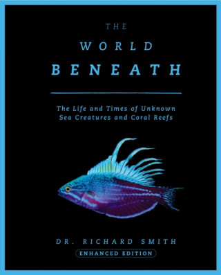 The World Beneath - Richard Smith